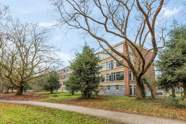 Azuurweg 272 Tilburg-37.jpg